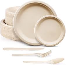 Biodegradable Paper Plate